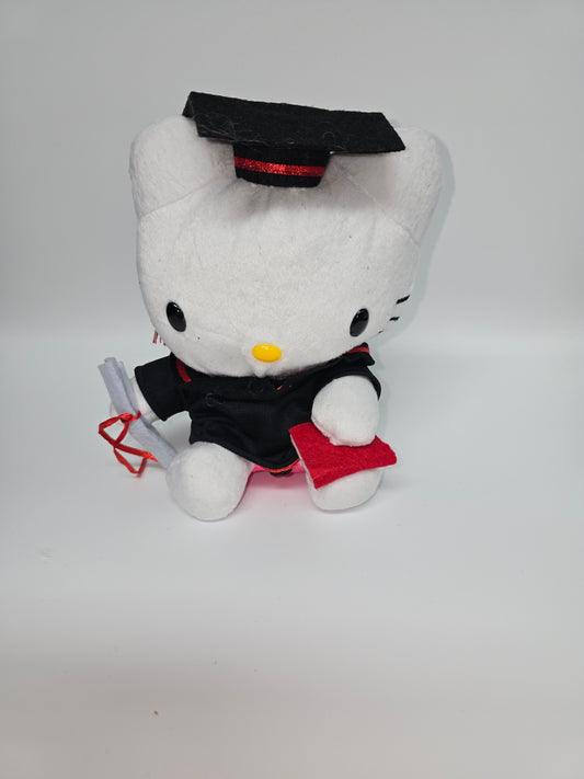 Hello Kitty Graduation 🎓